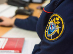 После публикации «Блокнота» следком Ставрополья проведет проверку по факту халатности при лечении малолетней