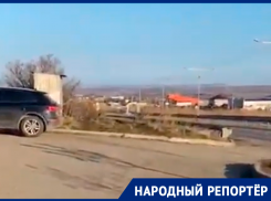 На Старомарьевском шоссе в Ставрополе живодеры освежевали уличных собак