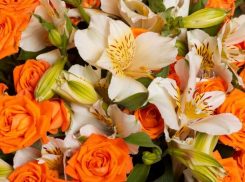 «Букет в кредит»: ставропольцы поделились мнениями о подарках на 8 марта 