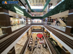 Триллион ушел в магазины: на чем ставропольцы не стали экономить в 2025 году