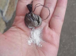 В Пятигорске женщина нашла спрятанные наркотики в воротах собственного дома