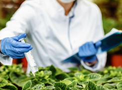 На Ставрополье вновь нарушаются правила обращения с пестицидами