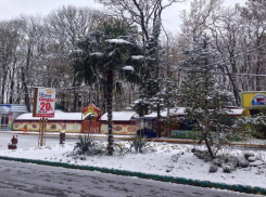 Оголенная гордость парка Победы заставила ставропольчан поволноваться