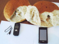 Житель Ставрополья пытался передать в тюрьму 5 мобильных телефонов