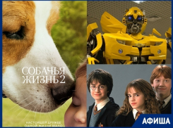 Выставка роботов и празднование Дня молодежи: что ждет ставропольчан на этой неделе