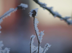 Заметное похолодание до -8 градусов накроет Ставрополье на следующей неделе 