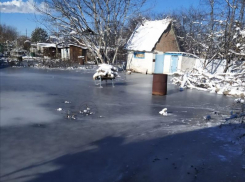 «Власти вообще ничего не делают»: три года дачи жителей Солнечнодольска топит грунтовыми водами 