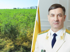 На Ставрополье воевали с амброзией, прощались с министром и требовали вернуть прокурора 