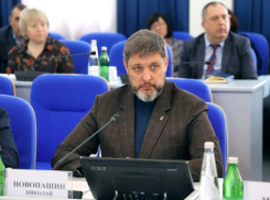 Расстреливать бездомных собак предложил глава округа Новопашин на Ставрополье