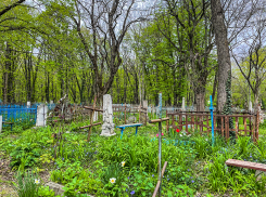 Заставили чистить дороги в 40-градусную жару: семья погибшей чиновницы на Ставрополье не верит в версию о панкреатите