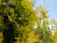 Ощущается как +2: какая погода будет в Ставрополе 18 марта 