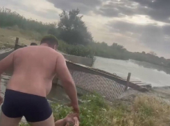 Ловля раков в пруду на Ставрополье закончилась кровавым побоищем