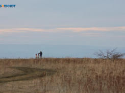 Роспотребнадзор предупредил ставропольцев о раннем пробуждении клещей