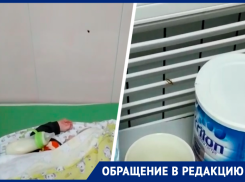Охранять от тараканов маленького сына пришлось молодой матери в больнице Ставрополя