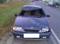 Водитель «четырнадцатой» на ночной трассе сбил насмерть лошадь и попал в больницу под Кисловодском 