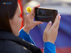 Переход на отечественные мессенджеры активнее замаячил у ставропольских чиновников 