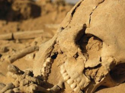 На ставропольской остановке нашли останки человека пятилетней давности