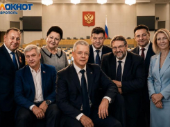 Миллионы на счетах, премиум авто и тысячи метров земли: с чем идут на выборы ставропольские кандидаты в Госдуму РФ