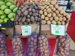 Картофель и помидоры: Севкавказстат назвал главных «обидчиков» кошельков ставропольцев 