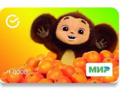 Бесконечный хайп на Чебурашке начинает раздражать жителей Ставрополья