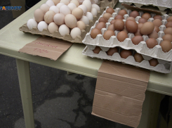 Десяток куриных яиц на Ставрополье вновь стоит меньше 100 рублей 