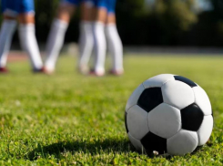 «Черчесов — замечательная кандидатура для «Рубина», но он туда не пойдет»: мнение специалиста 