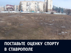 Итоги 2017: разваливающийся стадион «Динамо» и недостаток финансирования детского спорта стали главными проблемами спорта в Ставрополе