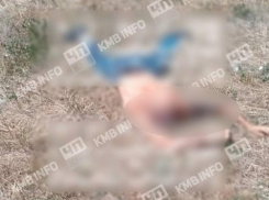 Тело мужчины без головы нашли на обочине в Ставропольском крае