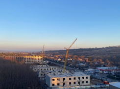 Пробки длиннее, магазинов побольше: как изменилась ставропольская Чапаевка за прошедшие годы?