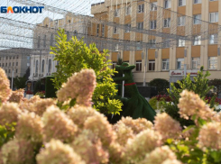 Солнечная суббота с 21-градусным теплом ожидается перед Пасхой в Ставрополе