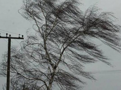 Сильные порывы ветра и гололед прогнозируют в пятницу на Ставрополье