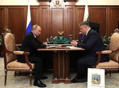 «И водичка хорошая»: глава Ставрополья попросил Путина включить курорты в нацпроект по экспорту