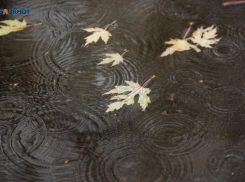 Морось и ноль градусов обещают синоптики ставропольцам 3 декабря