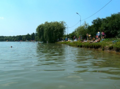 В Пятигорске мужчина утонул, купая в озере пса
