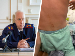 Бастрыкин затребовал доклад о возможном применении электрошокера в детсаду Лермонтова