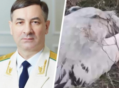 Снова провожали Лоренца и считали умерших животных на Ставрополье в предпоследнюю неделю декабря 