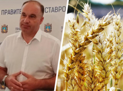 Минсельхоз Ставрополья: ущерб посевам от непогоды оценивается в миллиард рублей