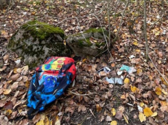 Шестнадцатилетняя девочка в Ставрополе попалась на закладках