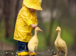 Слабый ветер с туманом и моросящий дождь ожидаются в четверг на Ставрополье