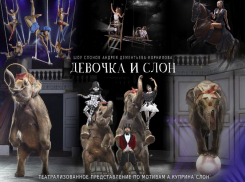 Слоны возвращаются домой! Новогоднее шоу слонов «Девочка и слон» в Ставропольском цирке с 20 декабря по 11 января