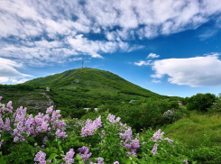 Кавминводская фальсификация: из архивов исчезли главные природоохранные документы