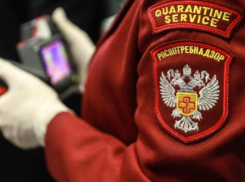 Непродовольственные магазины в крае не начнут работать с 18 мая