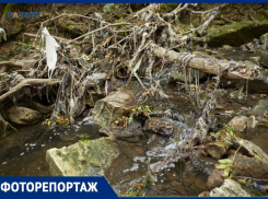 Галоши, бутылки и пепелище: как выглядят побережья рек в Ставрополе после чистки