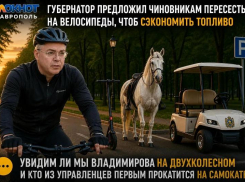 «Фотку сделают и все»: ставропольцы оценили идею губернатора с велосипедами для чиновников 