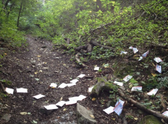 Агитаторы «Единой России» намусорили на Бештау