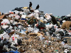 В Курском районе Ставрополья обнаружены 11 стихийных свалок