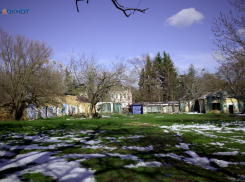 Потепление ожидается 23 февраля на Ставрополье