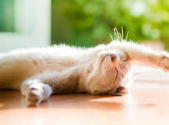 Теплыми и солнечными будут выходные для жителей Ставрополья