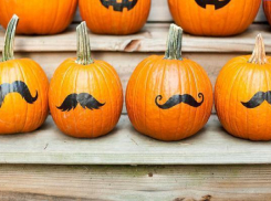 Тыквы-гиганты выросли в огороде у ставропольской семьи