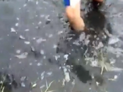 «Рыба сама на берег выпрыгивает»: эмоциональное видео об отравлении реки Кумы записал житель КМВ 